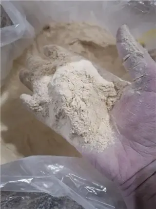 فروش پودر سیر همدان