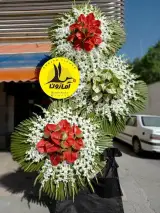 فروشگاه اینترنتی عروسک و کادو آمازون در تهران