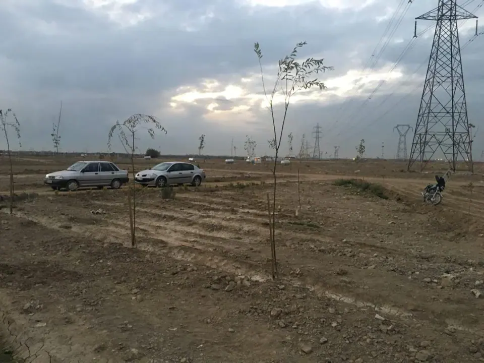 نهالستان محمد صابری