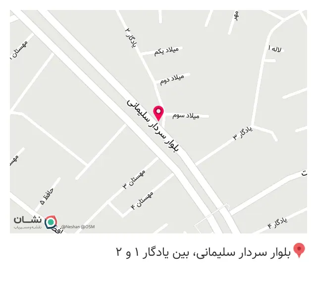 آژانس میلاد