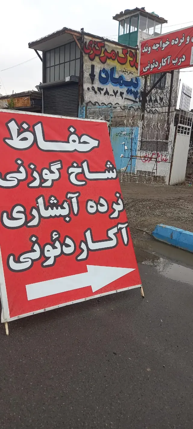 شاخ گوزنی پارس(رضاخواجه وند)