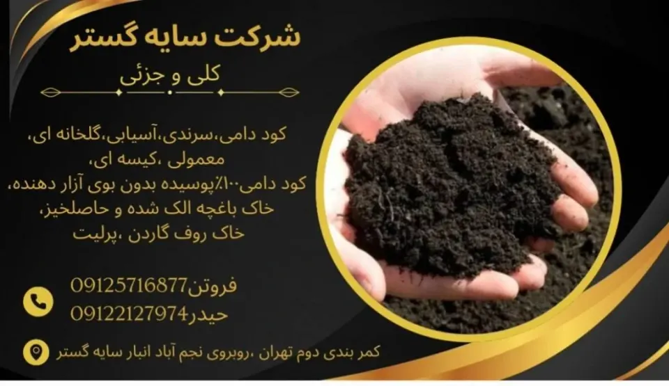 شرکت سایه گستر