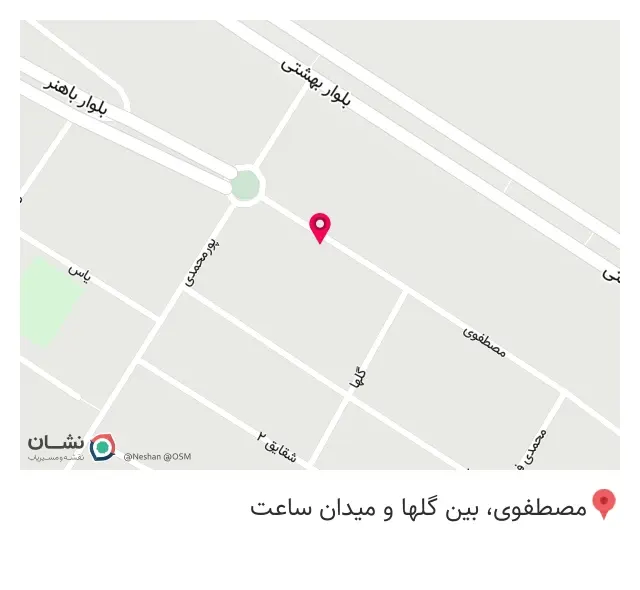 فست فودمیگ میگ