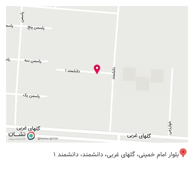 تجارت بین المللی برنج دانیک