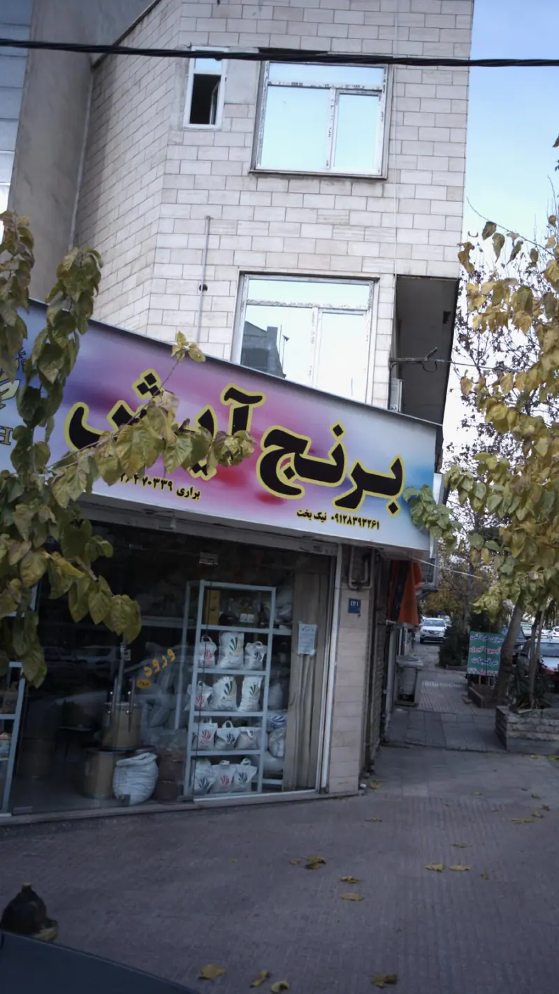 برنج آیش