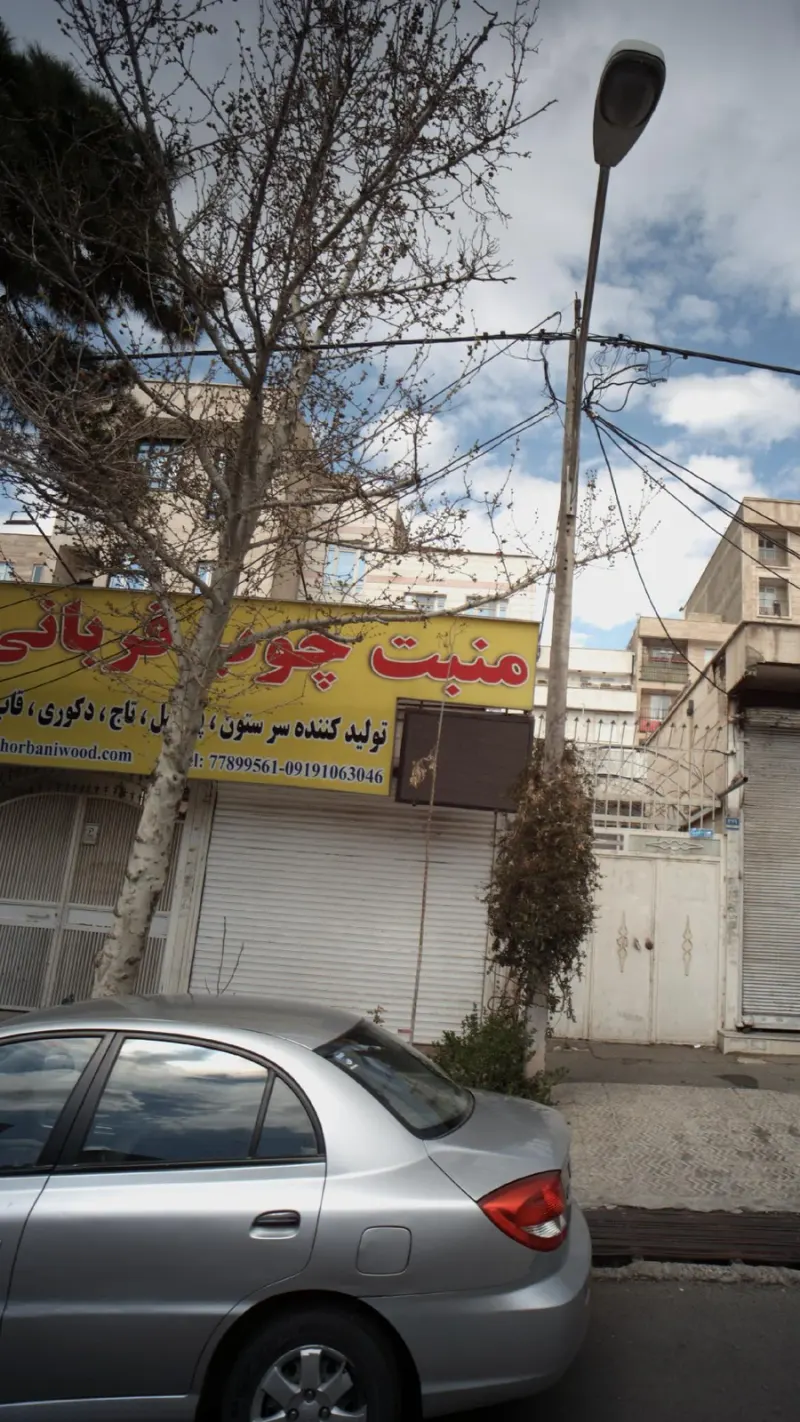 منبت چوب قربانی