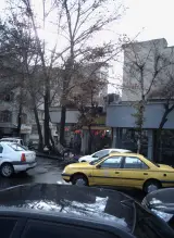 گل فروشی سیلن گل