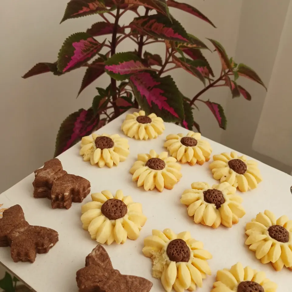 شیرینی رز سفید