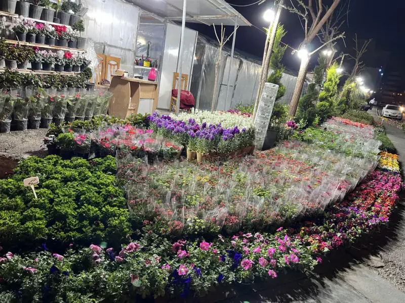 باغ گل سادات