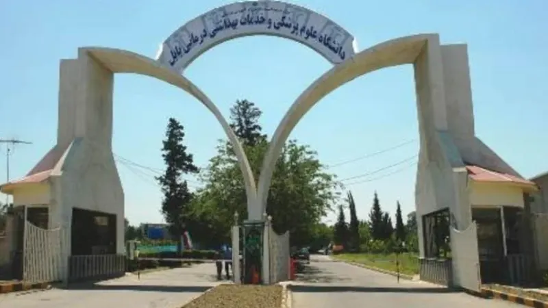 شیرینی سرای سان سیتی