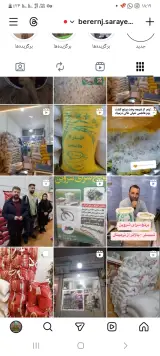 برنج سرای شروین