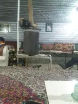 کافه برادران فلاحی