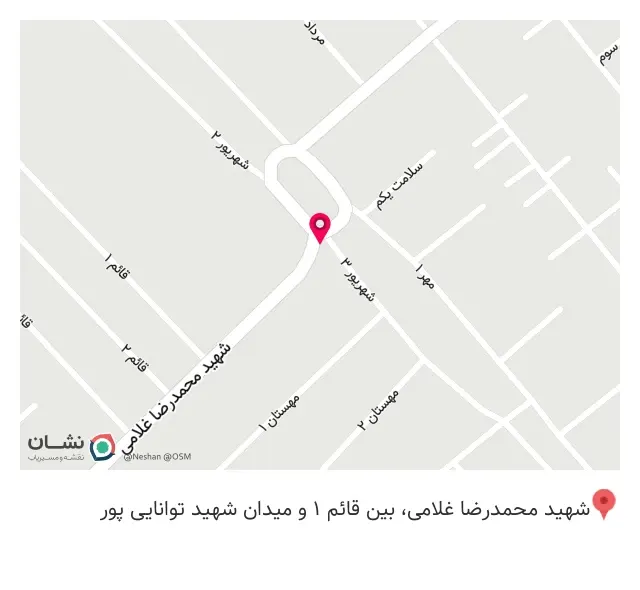 اتو سرویس علی