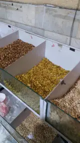 تخمه داغ یلدا