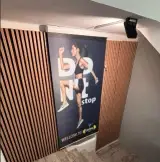 باشگاه سانرایز