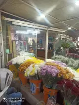 گل فروشی کولیوند