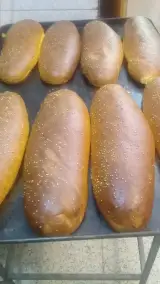 نان فانتزی هومن