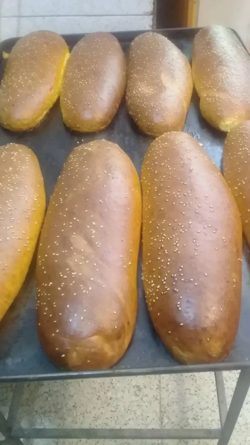 نان فانتزی هومن