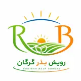واردات پخش عمده بذر شبدر برسیم ایتالیایی 2025 ایرانی سیاه بالایی در گرگان