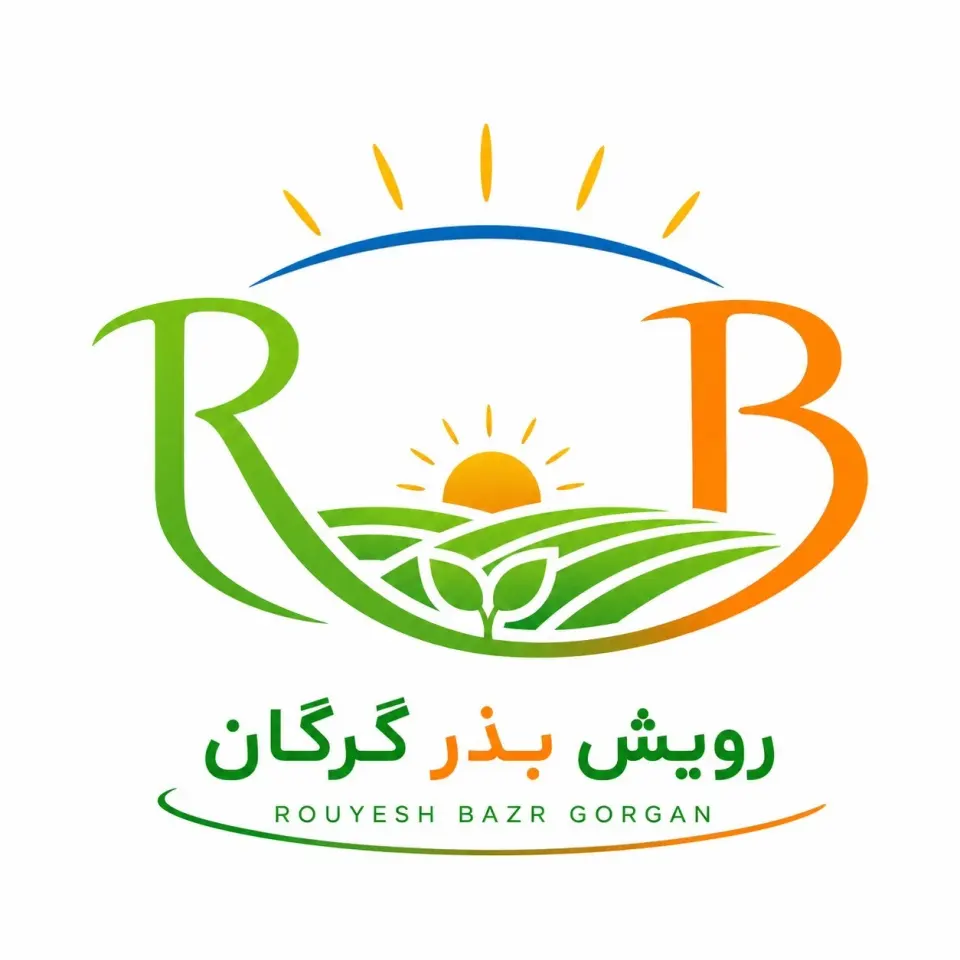 واردات پخش عمده بذر شبدر برسیم ایتالیایی 2025 ایرانی سیاه بالایی در گرگان