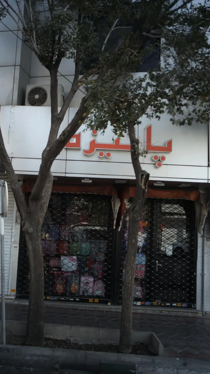 پائیزه