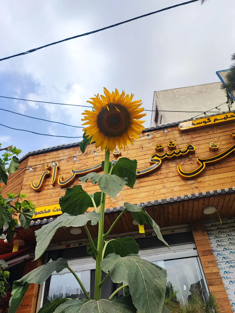 آش مشتی شیرازی