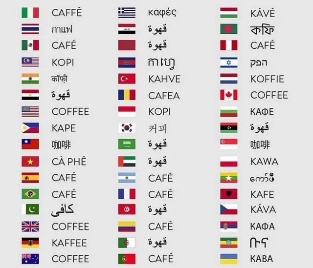 قهوه آرکو