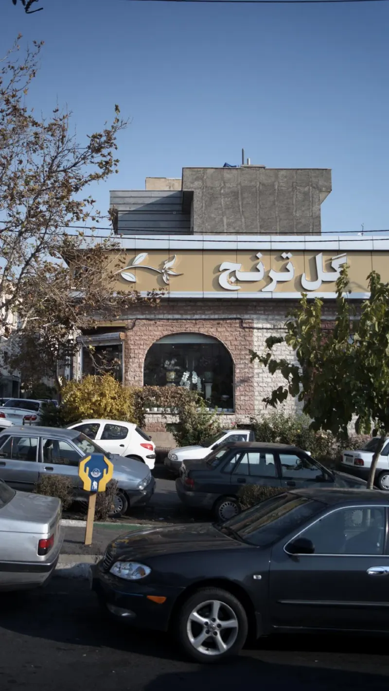 گلفروشی ترنج