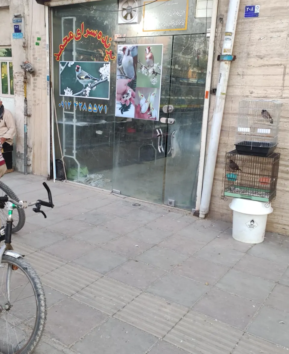 پرنده سرای محمد