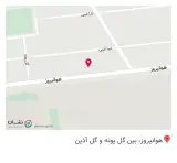ایسیو رکس تعمیرات کامپیوتر خودرو