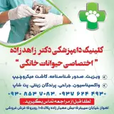 پت شاپ اهواز