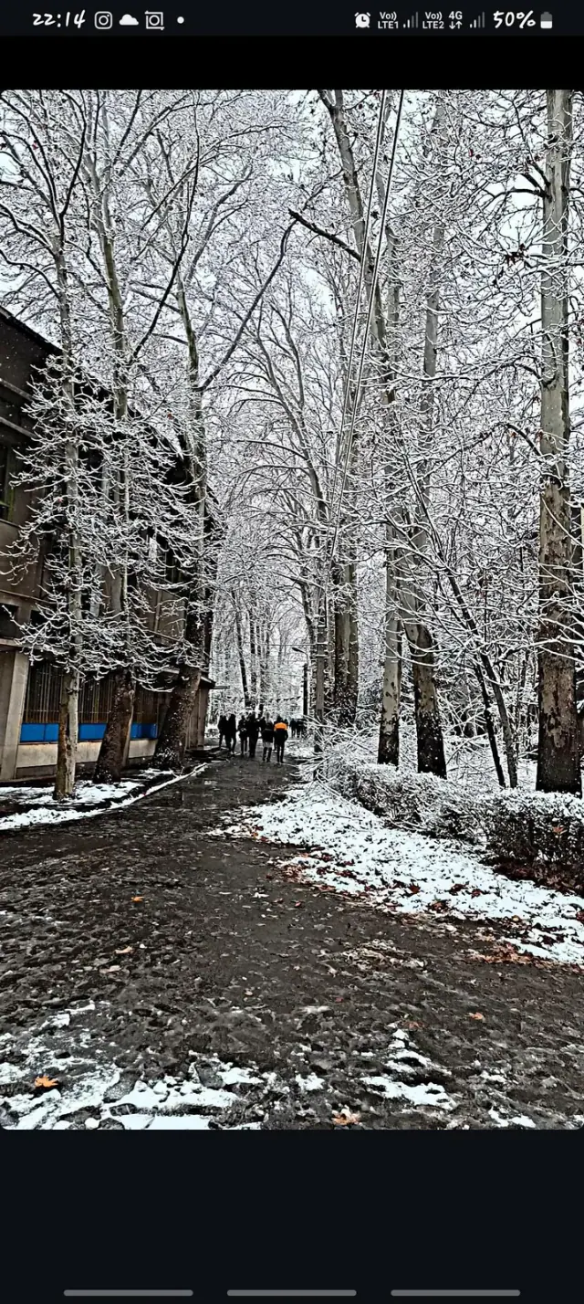 هنرستان نمونه دولتی امام صادق (ع)