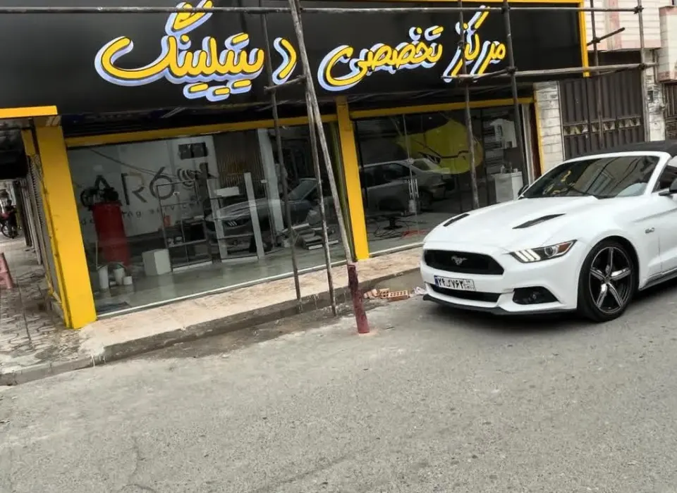 مرکز تخصصی دیتیلینگ کار سیکس