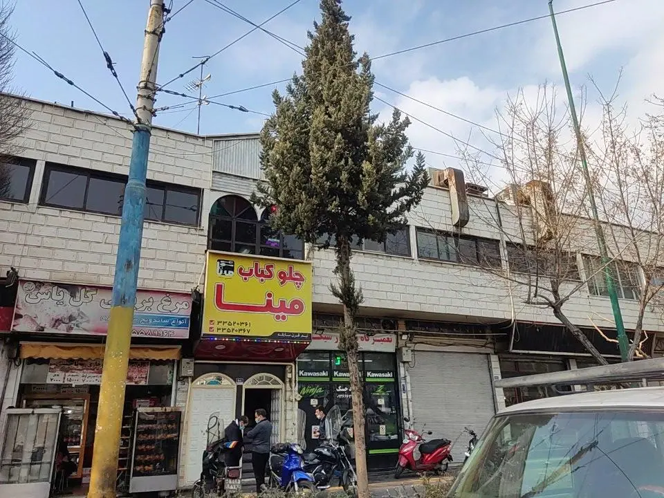 چلوکباب مینا