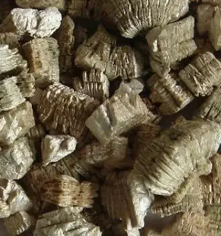 شرکت کالامین