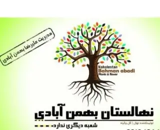نهالستان بهمن آبادی