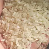 برنج سرای کامفیروزی