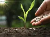 مزرعه زمرد