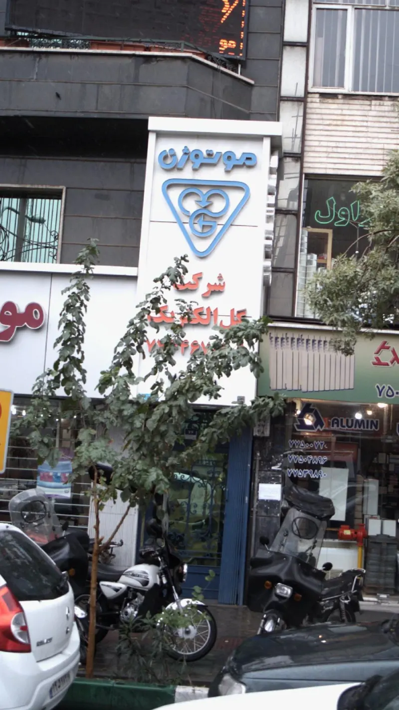 گل الکتریک پارت