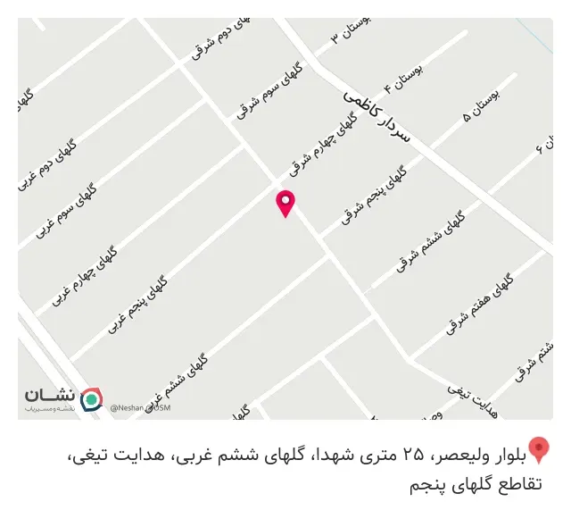 کفش شیک گام