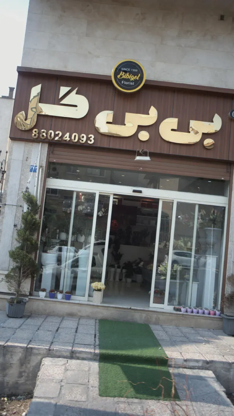 بی بی گل