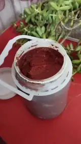ارگانیک مارکت