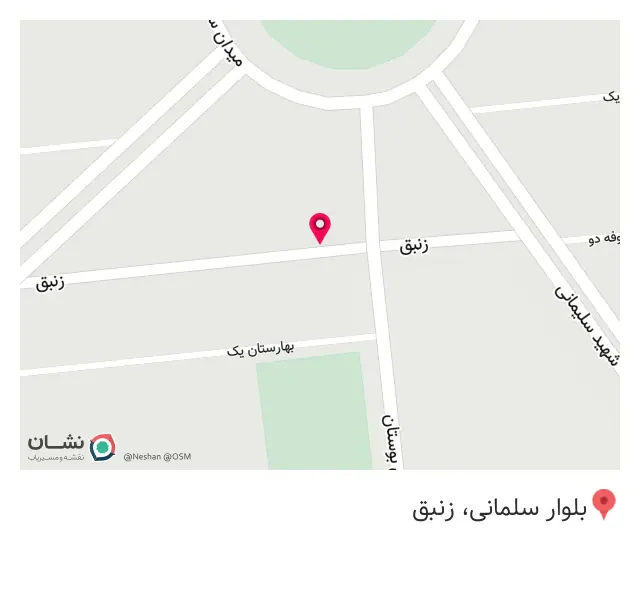 رویا جین