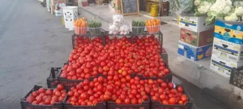 میوه فروشی چهار فصل