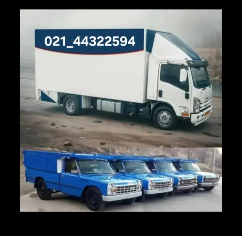 وانت بار محسن