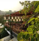 سفره خانه سنتی زیتون