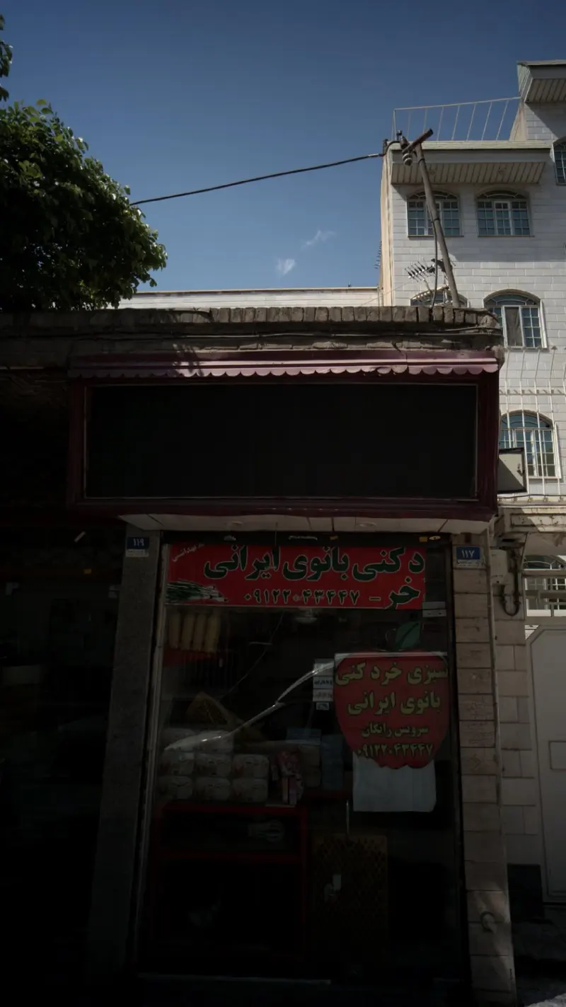 سبزی خردکنی بانوی ایرانی
