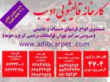 ادیب شعبه پاسداران شمیرانات