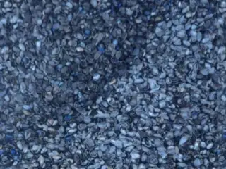 انواع پوست خام و کربن گردو پسته