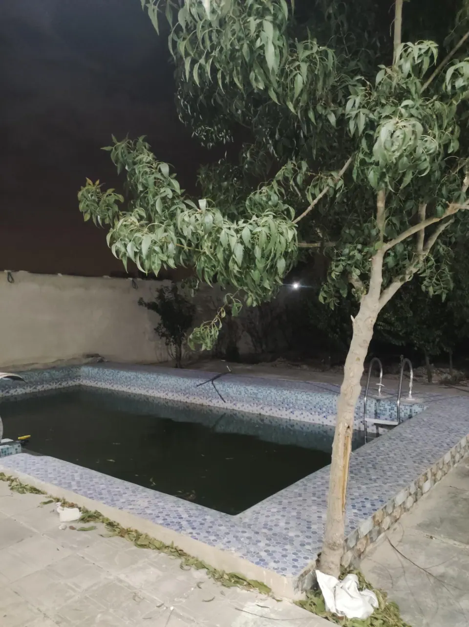 باغ احمد امیر معصومی
